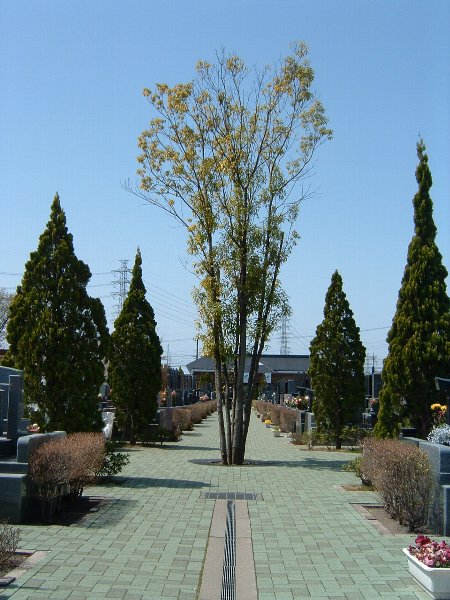 ふじみ野霊園のご案内